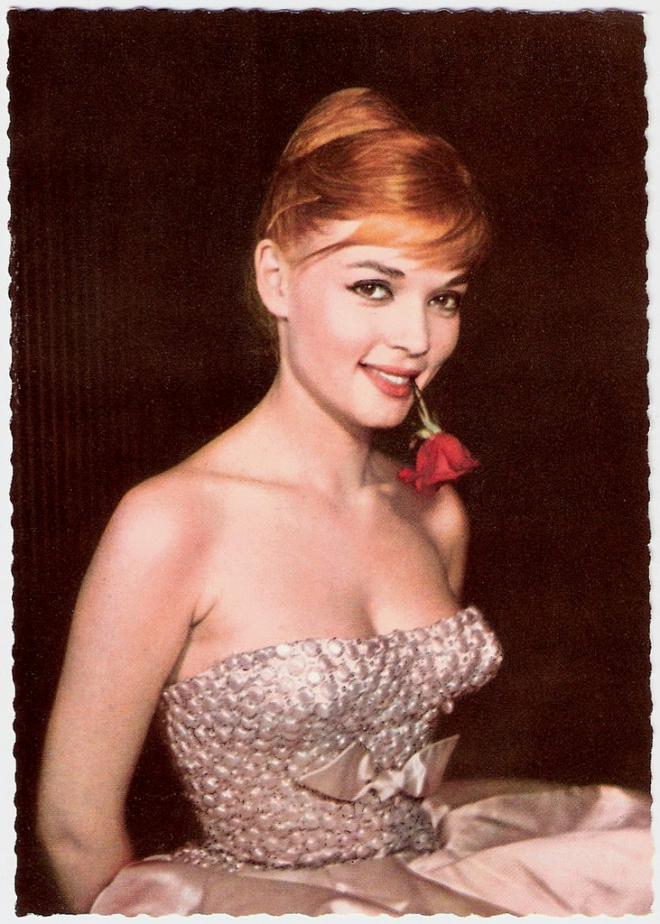 Agnès Laurent Net Worth