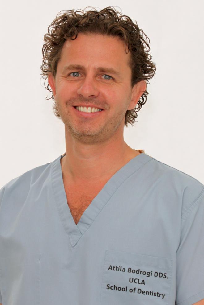 Attila Bodrogi Net Worth