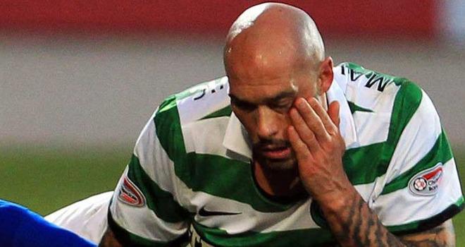 Daniel Majstorovic Net Worth